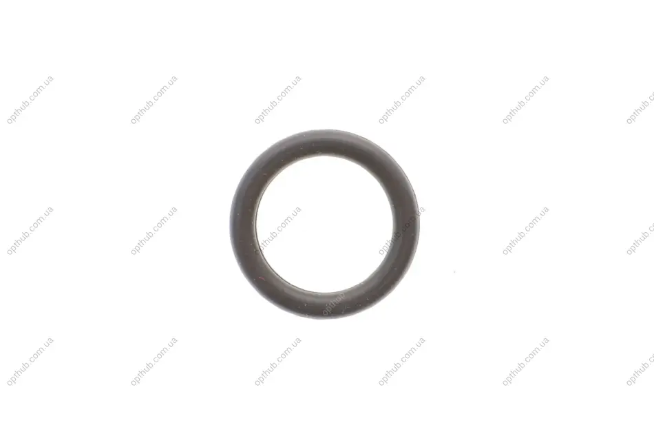 Уплотнительное кольцо для KOMFORT 707R TEXA 3903945 (фото 1)