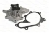 Насос охолоджуючої рідини, з ущільненням NISSAN ALMERA II, ALMERA TINO, PRIMERA, X-TRAIL I 2.2D 03.00- THERMOTEC D11074TT (фото 1)