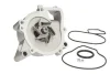 Насос охолоджуючої рідини, з ущільненням ALFA ROMEO 159, BRERA, SPIDER CHEVROLET CAPTIVA, CORSA, EQUINOX, HHR FIAT CROMA OPEL ANTARA A, ASTRA G, ASTRA J GTC, GT, INSIGNIA A 1.0ALK-2.4 08.99- THERMOTEC D1X052TT (фото 1)