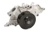 Насос охолоджуючої рідини, з ущільненням JEEP GRAND CHEROKEE II 2.7D 10.01-09.05 THERMOTEC D1Y078TT (фото 2)