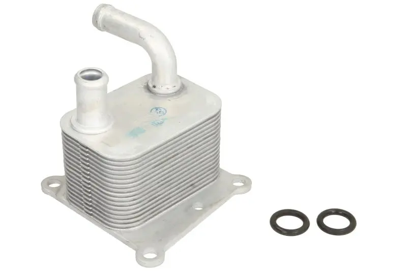 Масляний радіатор FORD C-MAX, FIESTA, FIESTA IV, FOCUS C-MAX, FOCUS I, FOCUS II, GALAXY II, MONDEO IV, S-MAX, TOURNEO CONNECT, TRANSIT CONNECT 1.8D 08.98-06.15 THERMOTEC D4G011TT (фото 1)