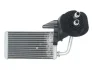 Радіатор пічки NISSAN INTERSTAR OPEL MOVANO A RENAULT MASTER II, MASTER PRO 1.9D-3.0D 12.97- THERMOTEC D6R014TT (фото 1)