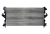 Радіатор двигуна (мкпп, розмір: 51мм) CITROEN JUMPER III FIAT DUCATO PEUGEOT 2008 I, BOXER 1.6-3.0D 04.06- THERMOTEC D7P062TT (фото 2)