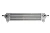 Інтеркулер NISSAN QASHQAI +2, QASHQAI I 1.5D/2.0D 11.06-04.14 THERMOTEC DA1002TT (фото 1)