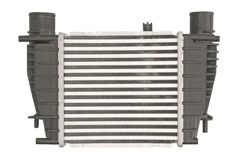 Інтеркулер NISSAN CUBE, JUKE, NOTE, NV200, NV200 / EVALIA, TIIDA RENAULT CLIO III, MODUS 1.2-1.6 09.04- THERMOTEC DA1003TT (фото 1)