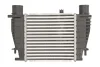 Інтеркулер NISSAN CUBE, JUKE, NOTE, NV200, NV200 / EVALIA, TIIDA RENAULT CLIO III, MODUS 1.2-1.6 09.04- THERMOTEC DA1003TT (фото 1)