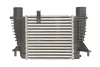 Інтеркулер NISSAN CUBE, JUKE, NOTE, NV200, NV200 / EVALIA, TIIDA RENAULT CLIO III, MODUS 1.2-1.6 09.04- THERMOTEC DA1003TT (фото 2)