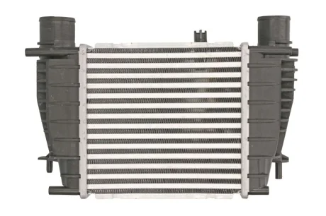 Інтеркулер NISSAN CUBE, JUKE, NOTE, NV200, NV200 / EVALIA, TIIDA RENAULT CLIO III, MODUS 1.2-1.6 09.04- THERMOTEC DA1003TT