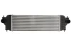 Інтеркулер SUZUKI GRAND VITARA II 1.9D 10.05-02.15 THERMOTEC DA8001TT (фото 1)