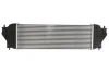 Інтеркулер SUZUKI GRAND VITARA II 1.9D 10.05-02.15 THERMOTEC DA8001TT (фото 2)