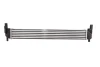 Інтеркулер AUDI A1 SEAT IBIZA IV, IBIZA IV SC, IBIZA IV ST, TOLEDO IV SKODA FABIA II, FABIA II PRAKTIK, RAPID, ROOMSTER, ROOMSTER PRAKTIK VW POLO V 1.0-2.0 01.07-05.22 THERMOTEC DAA005TT (фото 1)