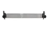 Інтеркулер AUDI A1 SEAT IBIZA IV, IBIZA IV SC, IBIZA IV ST, TOLEDO IV SKODA FABIA II, FABIA II PRAKTIK, RAPID, ROOMSTER, ROOMSTER PRAKTIK VW POLO V 1.0-2.0 01.07-05.22 THERMOTEC DAA005TT (фото 2)