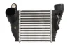 Інтеркулер AUDI A3 SEAT LEON, TOLEDO II SKODA OCTAVIA I VW BORA, BORA I, GOLF IV 1.4-2.8 09.96-12.13 THERMOTEC DAA008TT (фото 1)