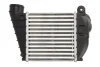 Інтеркулер AUDI A3 SEAT LEON, TOLEDO II SKODA OCTAVIA I VW BORA, BORA I, GOLF IV 1.4-2.8 09.96-12.13 THERMOTEC DAA008TT (фото 2)