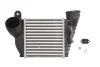 Інтеркулер AUDI A3 SEAT LEON, TOLEDO II SKODA OCTAVIA I VW BORA, BORA I, GOLF IV 1.4/1.8/1.9D 09.96-12.10 THERMOTEC DAA009TT (фото 1)
