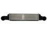 Інтеркулер BMW 3 (E46), X3 (E83) 2.0-3.0D 10.99-08.10 THERMOTEC DAB002TT (фото 1)