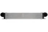 Інтеркулер BMW 5 (E39), 7 (E38) 2.0D-3.9D 08.98-05.04 THERMOTEC DAB006TT (фото 1)