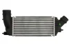 Інтеркулер CITROEN C8, JUMPY II FIAT SCUDO PEUGEOT 807, EXPERT, EXPERT TEPEE TOYOTA PROACE 2.0D/2.2D 07.02- THERMOTEC DAC011TT (фото 1)
