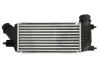 Інтеркулер CITROEN C8, JUMPY II FIAT SCUDO PEUGEOT 807, EXPERT, EXPERT TEPEE TOYOTA PROACE 2.0D/2.2D 07.02- THERMOTEC DAC011TT (фото 2)