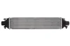 Інтеркулер ABARTH 500 / 595 / 695, GRANDE PUNTO, PUNTO, PUNTO EVO ALFA ROMEO GIULIETTA, MITO FIAT BRAVO, BRAVO II, DOBLO, DOBLO CARGO, GRANDE PUNTO, PUNTO, PUNTO EVO 0.9-2.0D 10.05- THERMOTEC DAD002TT (фото 1)