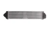 Інтеркулер VOLVO S60 II, S80 II, V60 I, V70 III FORD C-MAX, C-MAX II, FOCUS C-MAX, FOCUS II, FOCUS III, GALAXY II, GALAXY MK II, GRAND C-MAX, KUGA I, KUGA II, MONDEO IV 1.6-2.5ALK 10.03-12.19 THERMOTEC DAG007TT (фото 2)