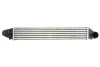 Інтеркулер FORD GALAXY I, GALAXY MK I SEAT ALHAMBRA VW SHARAN 1.8/1.9D 03.95-03.10 THERMOTEC DAG008TT (фото 1)