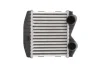 Інтеркулер SMART CABRIO, CITY-COUPE, CROSSBLADE, FORTWO, ROADSTER 0.6/0.7/0.8D 07.98-01.07 THERMOTEC DAM012TT (фото 1)