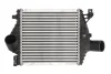 Інтеркулер MERCEDES V (638/2), VITO (W638) 2.0-2.3D 02.96-07.03 THERMOTEC DAM013TT (фото 1)