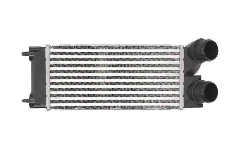 Інтеркулер CITROEN BERLINGO, BERLINGO MULTISPACE, C4, C4 GRAND PICASSO I, C4 I, C4 PICASSO I PEUGEOT 3008, 3008 I, 3008 II, 308, 308 I, 5008, PARTNER, PARTNER TEPEE 1.6ALK/1.6D 11.04- THERMOTEC DAP002TT (фото 1)