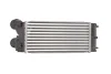 Інтеркулер CITROEN BERLINGO, BERLINGO MULTISPACE, C4, C4 GRAND PICASSO I, C4 I, C4 PICASSO I PEUGEOT 3008, 3008 I, 3008 II, 308, 308 I, 5008, PARTNER, PARTNER TEPEE 1.6ALK/1.6D 11.04- THERMOTEC DAP002TT (фото 2)