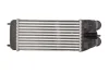 Інтеркулер DS DS 3 CITROEN C3 AIRCROSS I, C3 AIRCROSS II, C3 II, C3 III, C3 PICASSO, C4 CACTUS, C-ELYSEE, DS3 OPEL CROSSLAND X, CROSSLAND X / CROSSLAND PEUGEOT 2008 I, 207, 208 1.2-1.6D 04.07- THERMOTEC DAP003TT (фото 2)