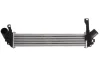 Інтеркулер NISSAN KUBISTAR RENAULT KANGOO, KANGOO EXPRESS 1.5D 12.01- THERMOTEC DAR007TT (фото 1)