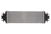 Інтеркулер NISSAN PRIMASTAR OPEL VIVARO A RENAULT TRAFIC II 1.9D/2.0D/2.5D 02.01- THERMOTEC DAR009TT (фото 2)
