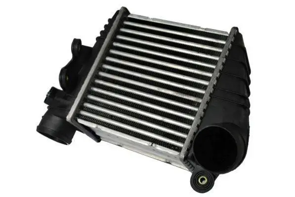 Інтеркулер AUDI A3, TT SEAT LEON, TOLEDO II SKODA OCTAVIA I VW BORA, BORA I, GOLF II, GOLF IV 1.4-1.9D 10.86-12.10 THERMOTEC DAW001TT (фото 1)