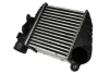 Інтеркулер AUDI A3, TT SEAT LEON, TOLEDO II SKODA OCTAVIA I VW BORA, BORA I, GOLF II, GOLF IV 1.4-1.9D 10.86-12.10 THERMOTEC DAW001TT (фото 1)