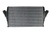 Інтеркулер OPEL SIGNUM, VECTRA C, VECTRA C GTS 2.0D/2.2D 04.02-06.08 THERMOTEC DAX002TT (фото 1)