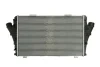 Інтеркулер CADILLAC BLS FIAT CROMA OPEL SIGNUM, VECTRA C, VECTRA C GTS 1.9D/2.4D 04.04- THERMOTEC DAX011TT (фото 2)