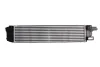 Інтеркулер FIAT TALENTO NISSAN NV300 OPEL VIVARO B RENAULT TRAFIC III 1.6D 05.14- THERMOTEC DAX018TT (фото 2)