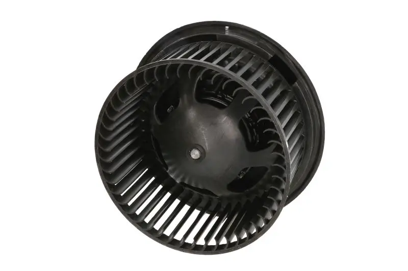 Вентилятор салону FORD C-MAX, C-MAX II, FOCUS C-MAX, FOCUS II, GALAXY II, GALAXY MK II, KUGA I, MONDEO IV, S-MAX, TRANSIT CONNECT 1.4-2.5 10.03- THERMOTEC DDG010TT (фото 1)