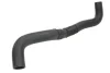 Шланг гумовий системи охолодження Нижн HYUNDAI TUCSON KIA SPORTAGE II, SPORTAGE III 2.0D 08.04-12.15 THERMOTEC DW0502TT (фото 1)