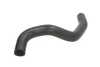 Шланг гумовий системи охолодження Нижн HYUNDAI GETZ 1.3/1.4/1.6 09.02-12.10 THERMOTEC DW0517TT (фото 1)