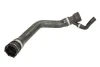 Шланг гумовий системи охолодження Нижн BMW 3 (E46) 2.0D 02.98-09.01 THERMOTEC DWB047TT (фото 1)