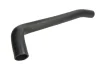 Шланг гумовий системи охолодження Нижн FIAT DUCATO 2.3D 12.01-07.06 THERMOTEC DWF301TT (фото 1)