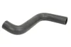 Шланг гумовий системи охолодження Нижн прав FORD FIESTA V, FUSION MAZDA 2 1.2-1.6 11.01-12.12 THERMOTEC DWG002TT (фото 1)