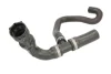Шланг гумовий системи охолодження Верх AUDI A4 B5, A4 B6, A4 B7 SEAT EXEO, EXEO ST 1.6 07.00-09.10 THERMOTEC DWW296TT (фото 1)