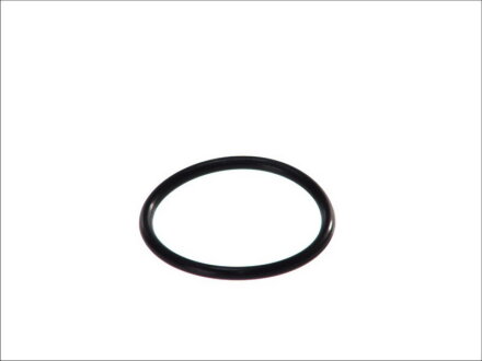 Прокладання термостату TOPRAN / HANS PRIES 100618