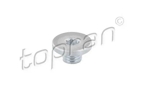 Гвинт зливного масляного піддону M10x1,5 AUDI Q7 PORSCHE CAYENNE VW TOUAREG 2.5D-6.0D 05.02-08.15 TOPRAN / HANS PRIES 115 360 (фото 1)
