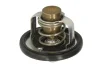 Термостат SUZUKI GSX, GSX-R, SV, TL 600-1300 1997-2007 TOURMAX TMT-301 (фото 2)