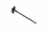 Клапан випускний Toyota Camry 01-06 RAV4 Avensis Lexus (вир-во Toyota) TOYOTA 1371528010 (фото 3)