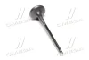 Клапан випускний Toyota RAV4 09- Avalon Camry Lexus (вир-во Toyota) TOYOTA 1371531150 (фото 1)